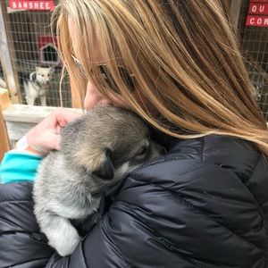 Meet your Posher, Stacey